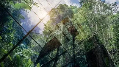 Bäume spiegeln sich in moderner Bürofassade